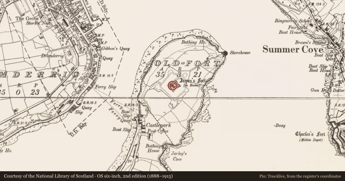 Ordnance Survey six-inch map, 2nd edition (1888–1915) covering the location of Bastioned fort, Old-Fort, County Cork, with a pin at the register's coordinates
