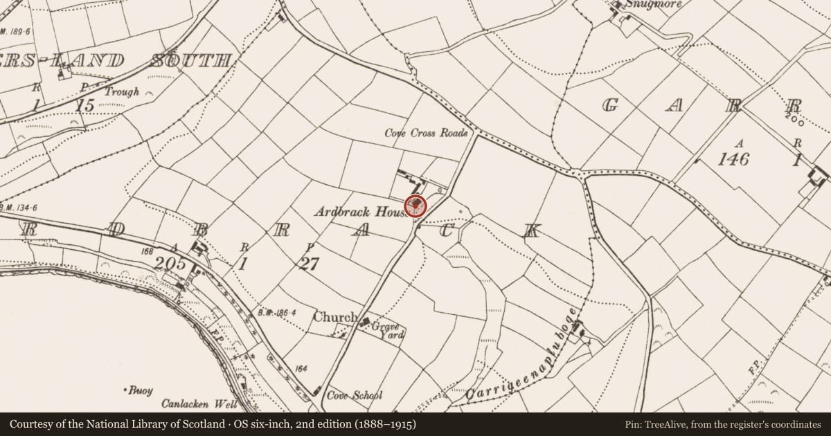 Ordnance Survey six-inch map, 2nd edition (1888–1915) covering the location of Architectural fragment, Ardbrack, County Cork, with a pin at the register's coordinates