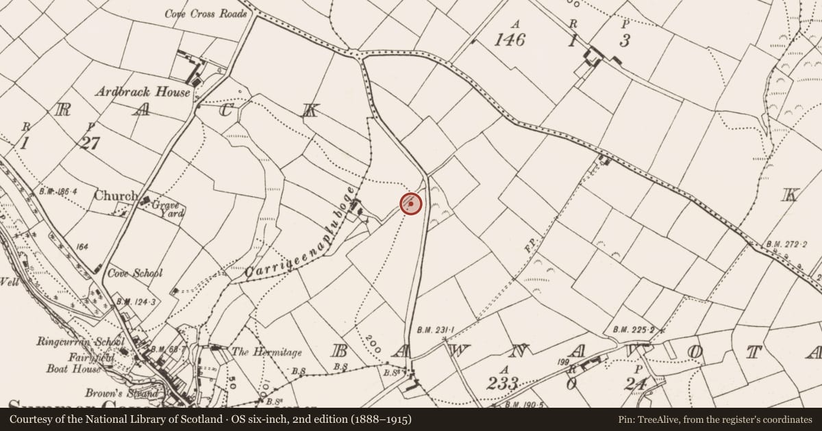 Ordnance Survey six-inch map, 2nd edition (1888–1915) covering the location of Fulacht fia, Bawnavota, County Cork, with a pin at the register's coordinates