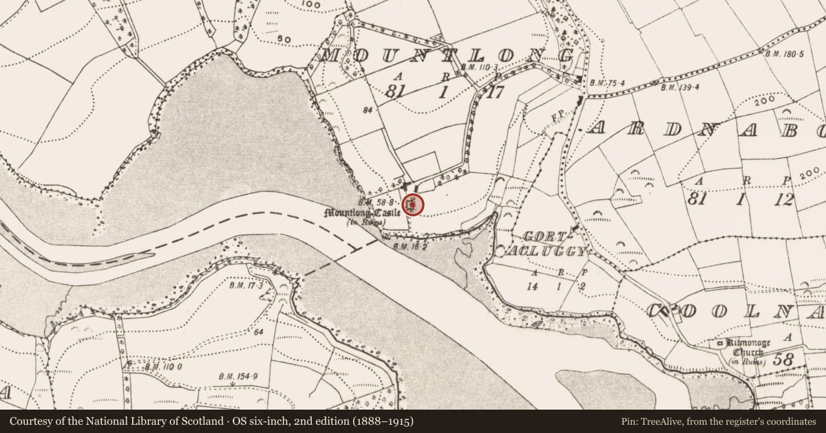 Ordnance Survey six-inch map, 2nd edition (1888–1915) covering the location of House - fortified house, Mountlong, County Cork, with a pin at the register's coordinates