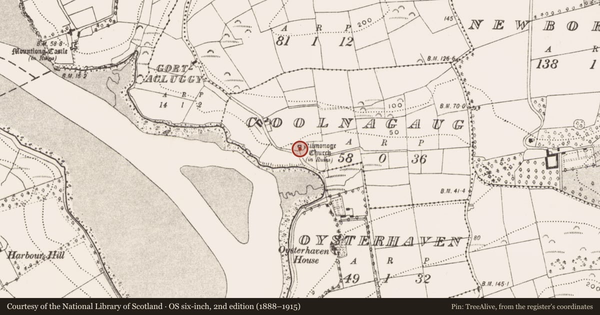 Ordnance Survey six-inch map, 2nd edition (1888–1915) covering the location of Graveyard, Coolnagaug, County Cork, with a pin at the register's coordinates