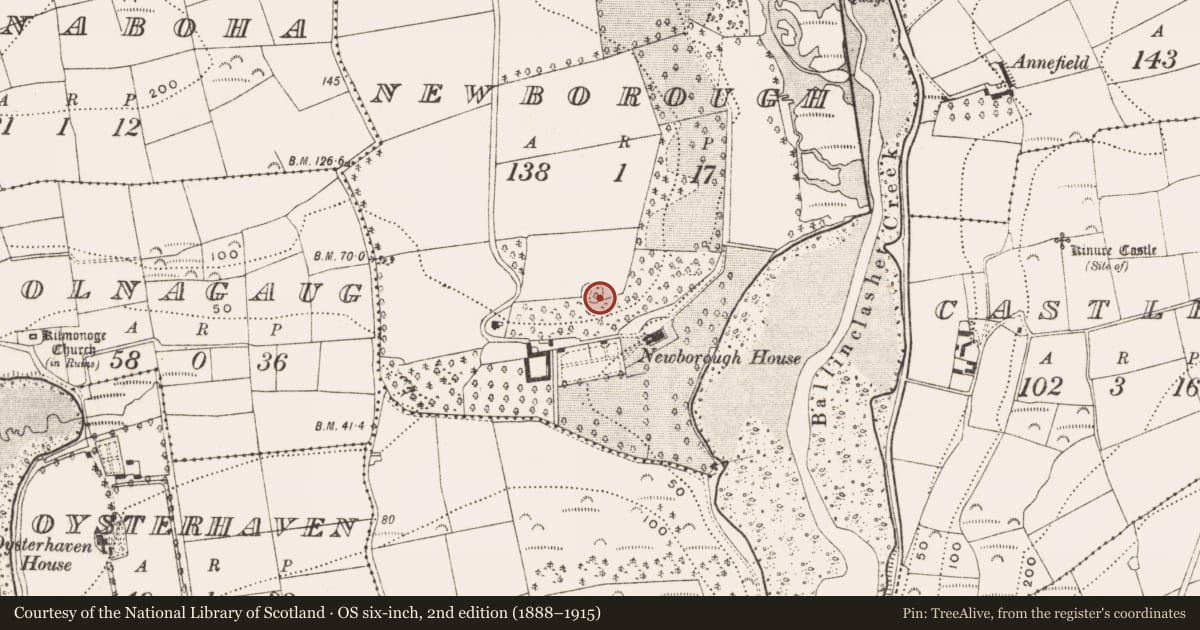 Ordnance Survey six-inch map, 2nd edition (1888–1915) covering the location of Ringfort - rath, Newborough, County Cork, with a pin at the register's coordinates