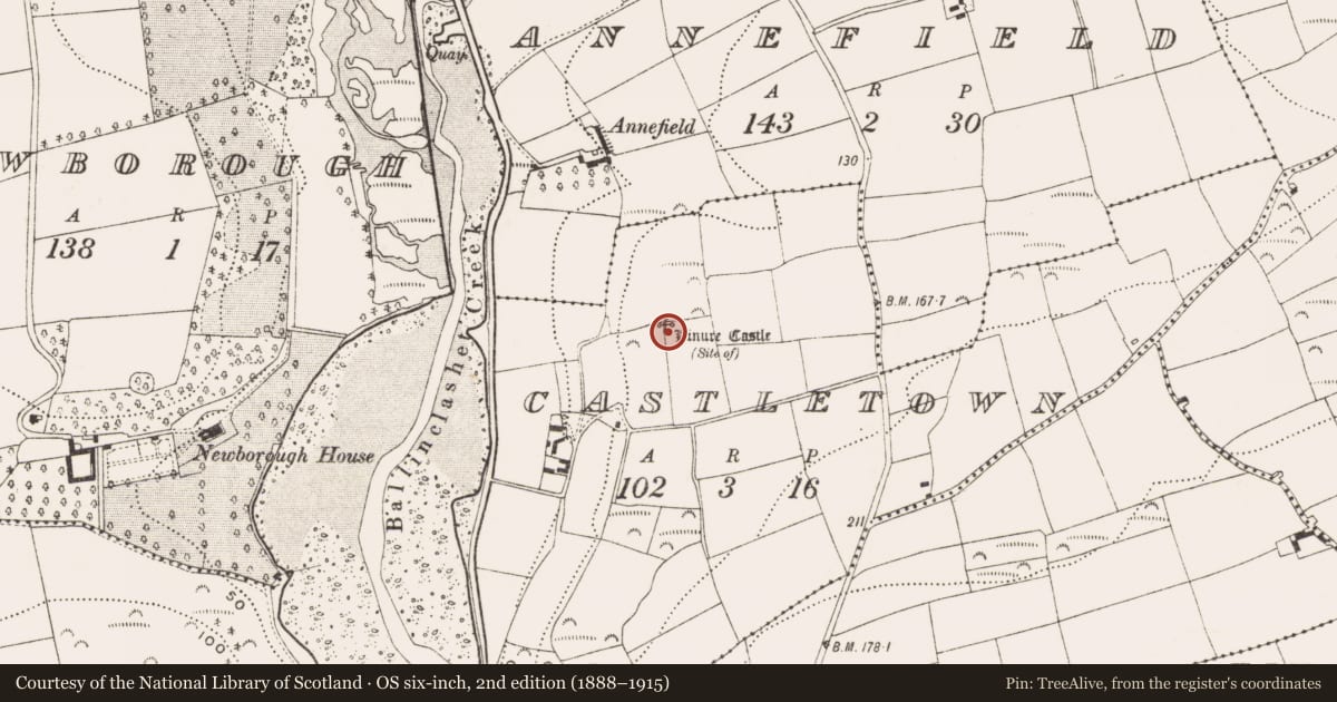 Ordnance Survey six-inch map, 2nd edition (1888–1915) covering the location of Castle - unclassified, Castletown, County Cork, with a pin at the register's coordinates