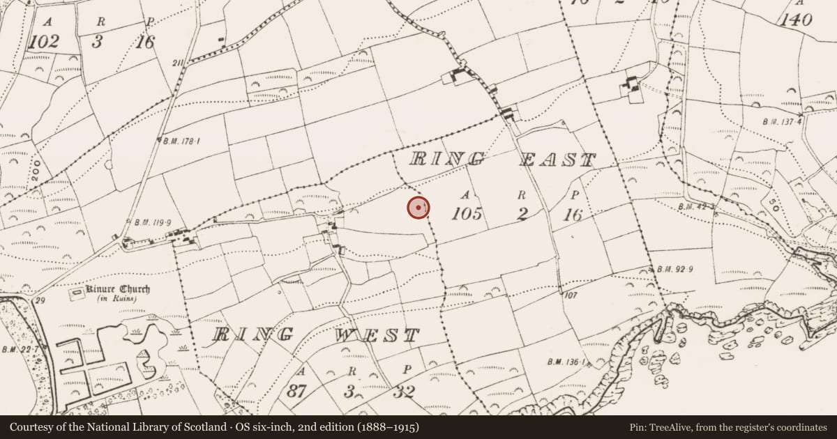 Ordnance Survey six-inch map, 2nd edition (1888–1915) covering the location of Fulacht fia, Ring West, County Cork, with a pin at the register's coordinates
