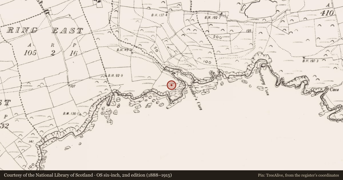 Ordnance Survey six-inch map, 2nd edition (1888–1915) covering the location of Promontory fort - coastal, Killeagh, County Cork, with a pin at the register's coordinates