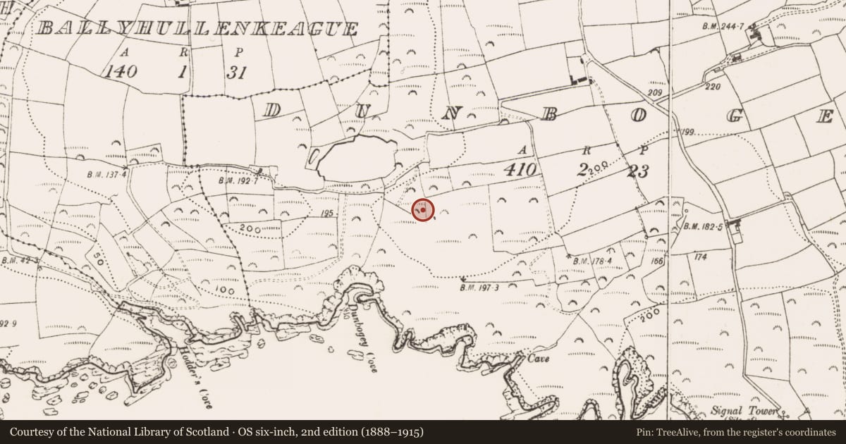 Ordnance Survey six-inch map, 2nd edition (1888–1915) covering the location of Enclosure, Dunbogey, County Cork, with a pin at the register's coordinates