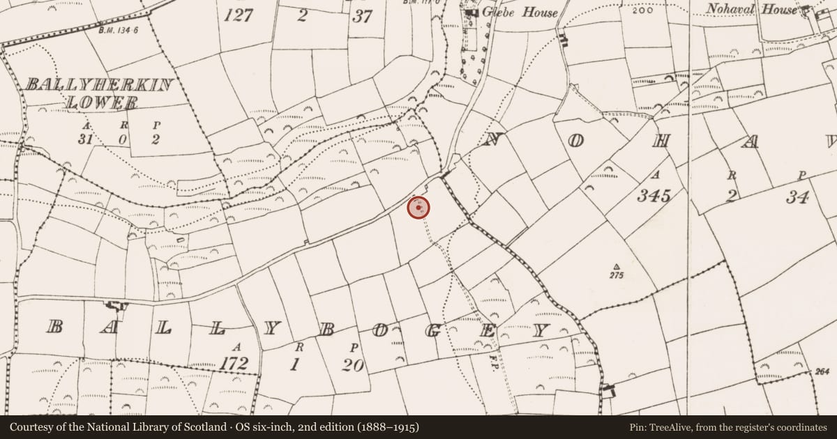 Ordnance Survey six-inch map, 2nd edition (1888–1915) covering the location of Ringfort - rath, Ballybogey, County Cork, with a pin at the register's coordinates