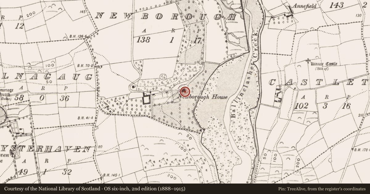 Ordnance Survey six-inch map, 2nd edition (1888–1915) covering the location of Country house, Newborough, County Cork, with a pin at the register's coordinates