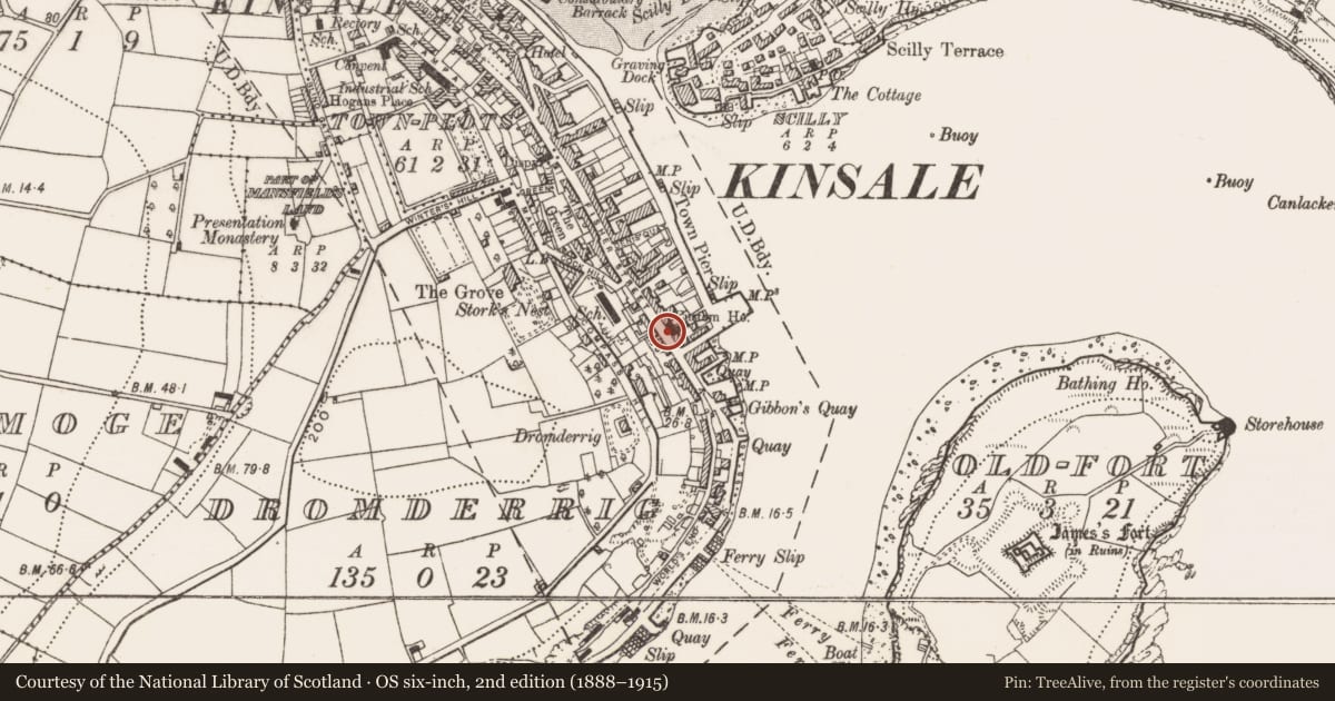 Ordnance Survey six-inch map, 2nd edition (1888–1915) covering the location of Custom house, Dromderrig, County Cork, with a pin at the register's coordinates