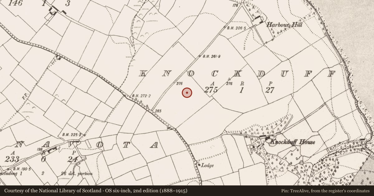 Ordnance Survey six-inch map, 2nd edition (1888–1915) covering the location of Ringfort - rath, Knockduff, County Cork, with a pin at the register's coordinates