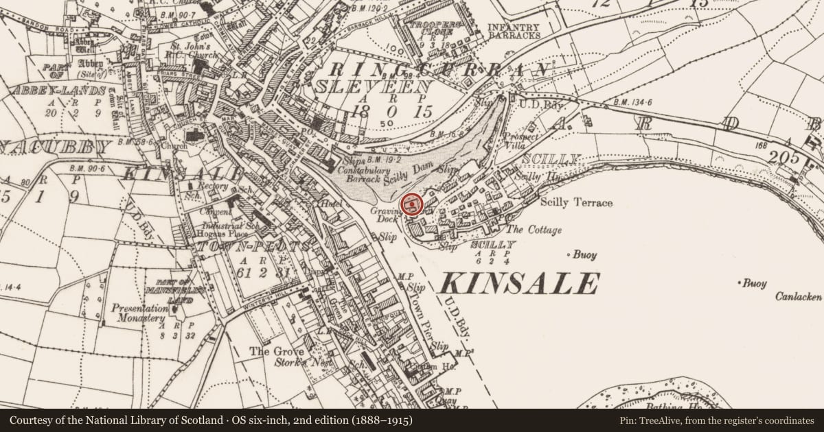 Ordnance Survey six-inch map, 2nd edition (1888–1915) covering the location of Fish palace, Scilly, County Cork, with a pin at the register's coordinates
