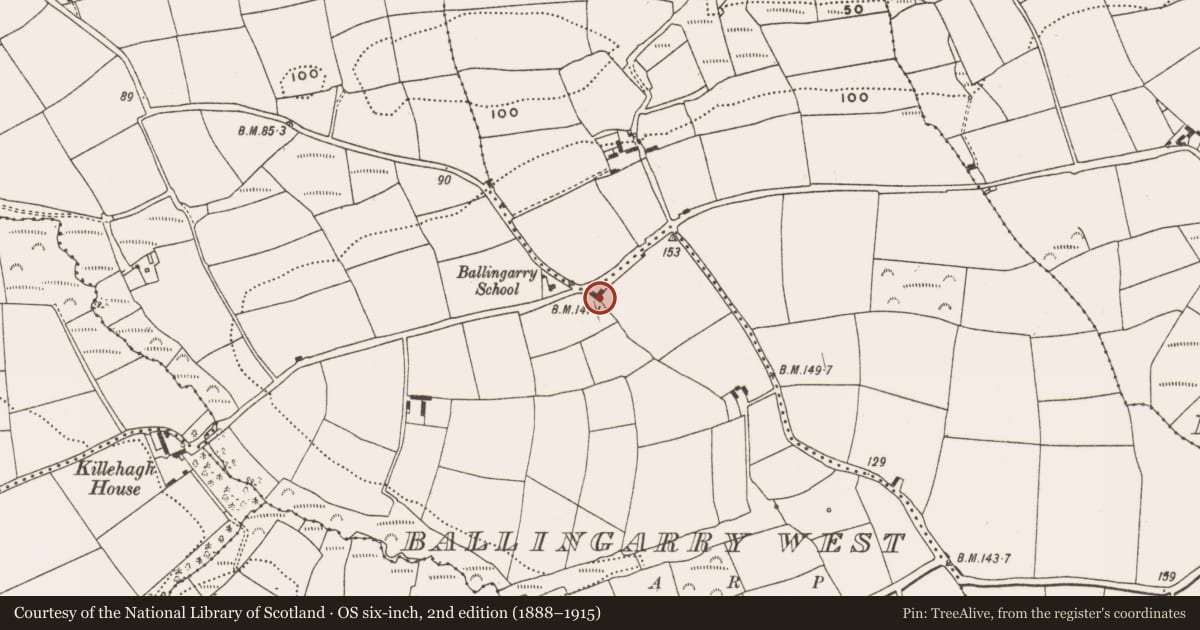Ordnance Survey six-inch map, 2nd edition (1888–1915) covering the location of Church, Ballingarry West, County Cork, with a pin at the register's coordinates