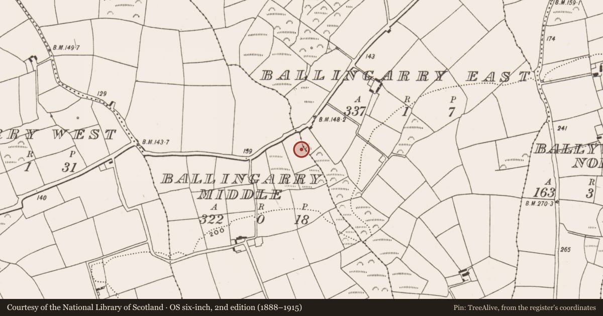 Ordnance Survey six-inch map, 2nd edition (1888–1915) covering the location of Fulacht fia, Ballingarry East, County Cork, with a pin at the register's coordinates