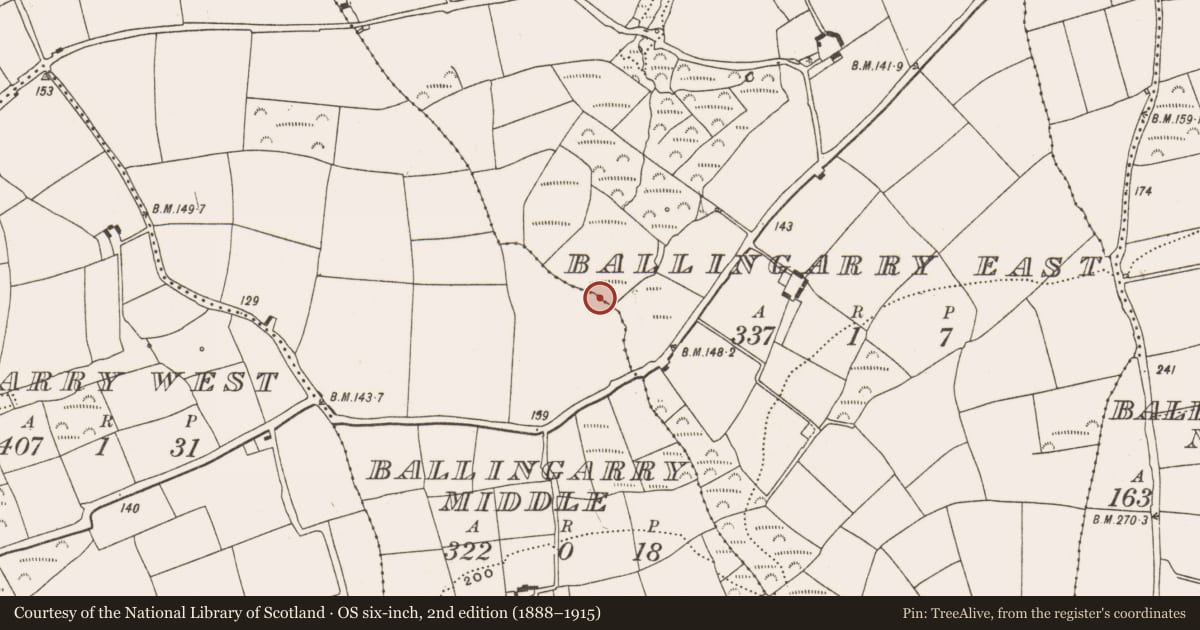 Ordnance Survey six-inch map, 2nd edition (1888–1915) covering the location of Fulacht fia, Ballingarry East, County Cork, with a pin at the register's coordinates