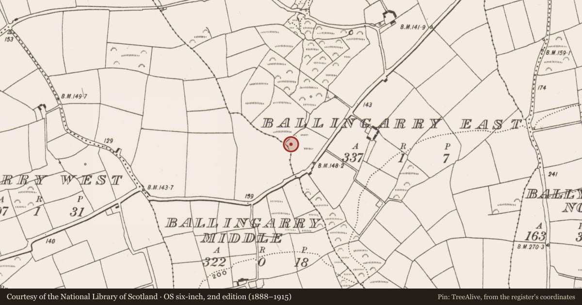 Ordnance Survey six-inch map, 2nd edition (1888–1915) covering the location of Fulacht fia, Ballingarry East, County Cork, with a pin at the register's coordinates
