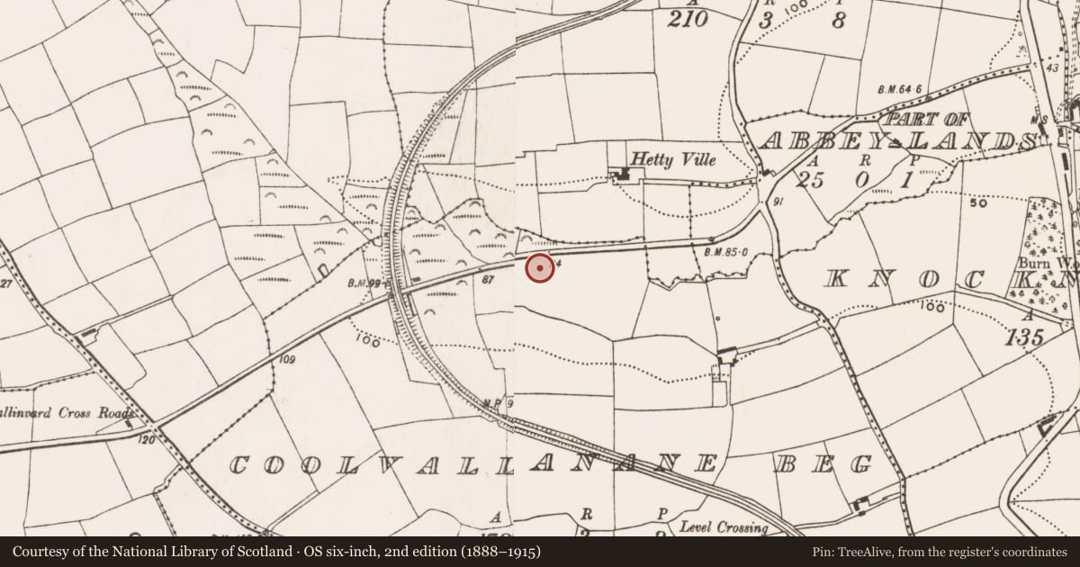 Ordnance Survey six-inch map, 2nd edition (1888–1915) covering the location of Fulacht fia, Coolvallanane Beg, County Cork, with a pin at the register's coordinates