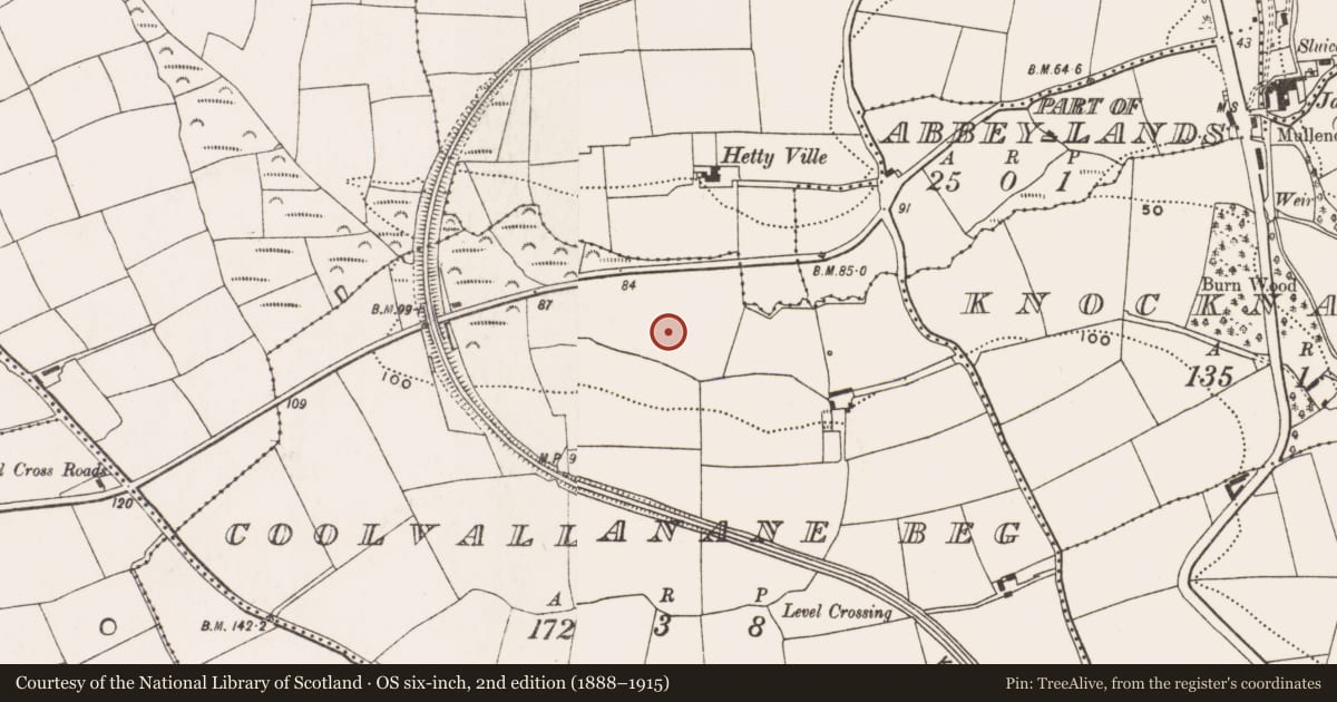 Ordnance Survey six-inch map, 2nd edition (1888–1915) covering the location of Fulacht fia, Coolvallanane Beg, County Cork, with a pin at the register's coordinates