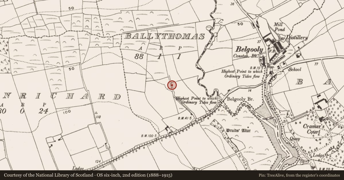 Ordnance Survey six-inch map, 2nd edition (1888–1915) covering the location of Ritual site - holy well, Ballythomas, County Cork, with a pin at the register's coordinates