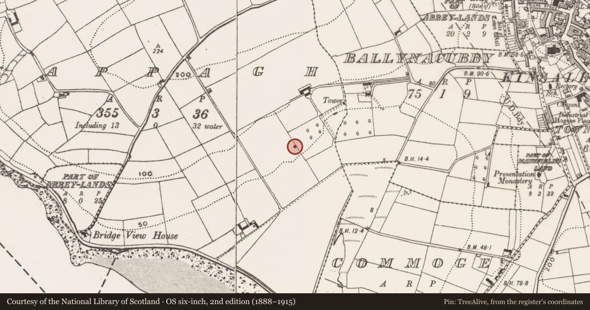 Ordnance Survey six-inch map, 2nd edition (1888–1915) covering the location of Bee-boles, Cappagh, County Cork, with a pin at the register's coordinates