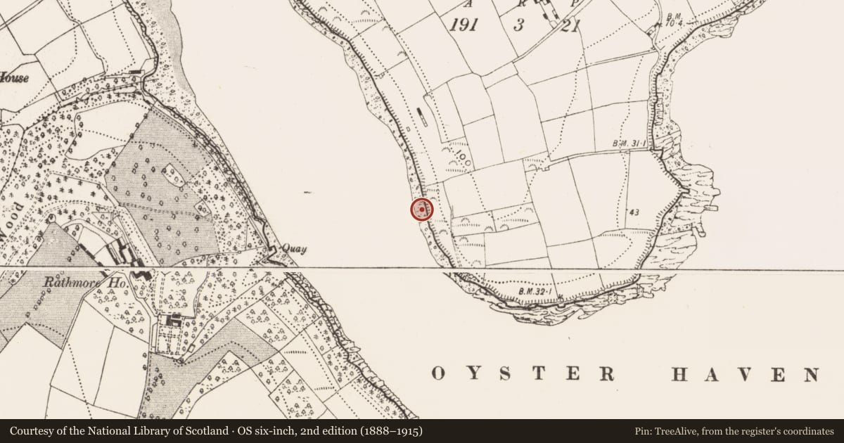 Ordnance Survey six-inch map, 2nd edition (1888–1915) covering the location of Midden, Ringville, County Cork, with a pin at the register's coordinates