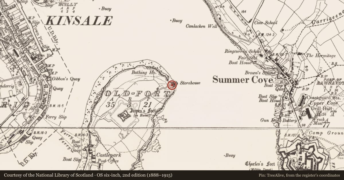 Ordnance Survey six-inch map, 2nd edition (1888–1915) covering the location of Blockhouse, Old-Fort, County Cork, with a pin at the register's coordinates