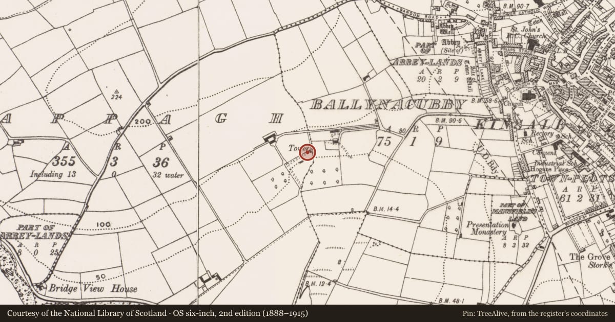 Ordnance Survey six-inch map, 2nd edition (1888–1915) covering the location of Designed landscape - belvedere, Cappagh, County Cork, with a pin at the register's coordinates
