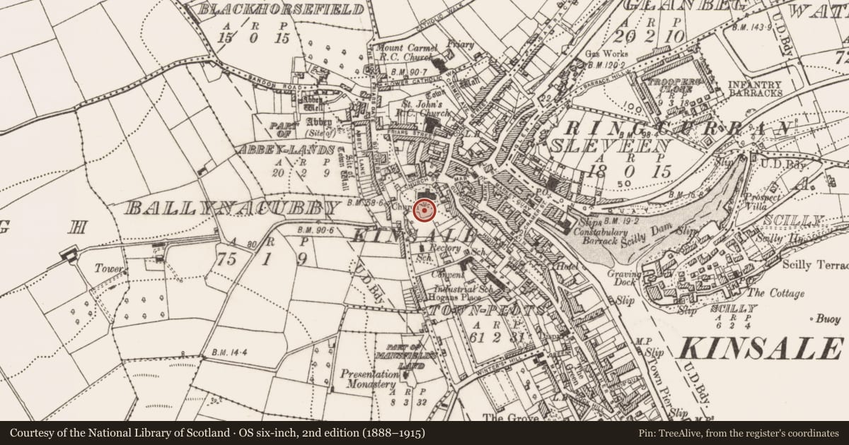 Ordnance Survey six-inch map, 2nd edition (1888–1915) covering the location of Ecclesiastical enclosure, Townplots, County Cork, with a pin at the register's coordinates