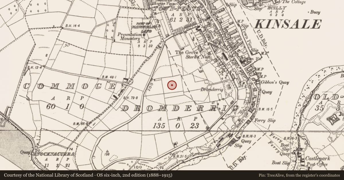 Ordnance Survey six-inch map, 2nd edition (1888–1915) covering the location of Mound, Dromderrig, County Cork, with a pin at the register's coordinates