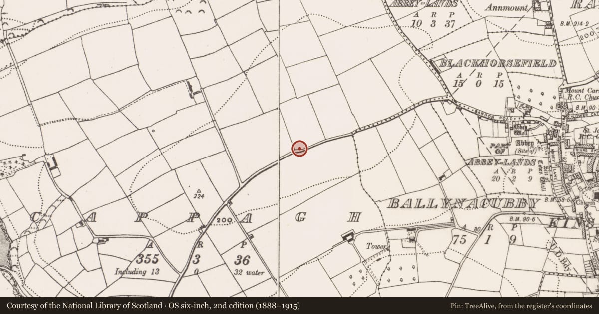 Ordnance Survey six-inch map, 2nd edition (1888–1915) covering the location of Military camp, Cappagh, County Cork, with a pin at the register's coordinates
