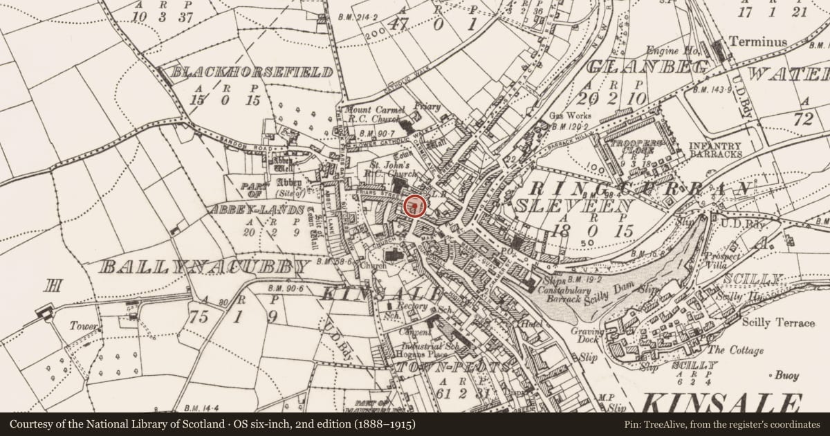 Ordnance Survey six-inch map, 2nd edition (1888–1915) covering the location of Cross - Market cross, Townplots, County Cork, with a pin at the register's coordinates