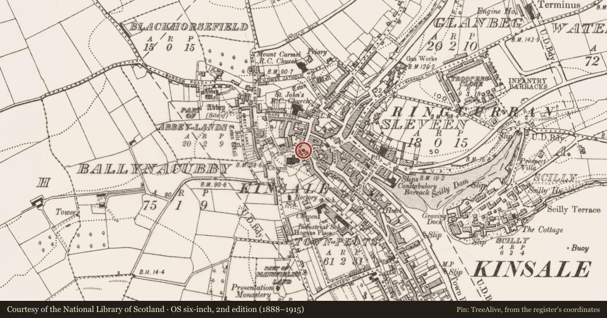 Ordnance Survey six-inch map, 2nd edition (1888–1915) covering the location of Cross - Market cross, Townplots, County Cork, with a pin at the register's coordinates