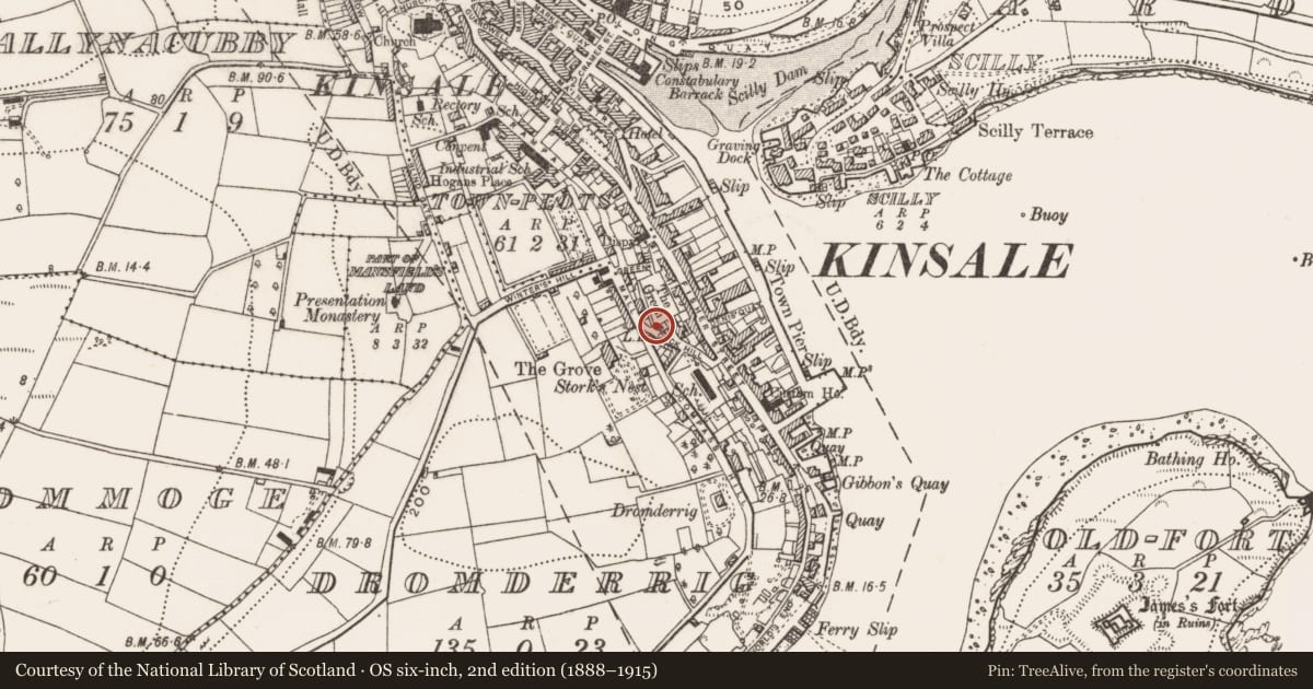 Ordnance Survey six-inch map, 2nd edition (1888–1915) covering the location of Decorated stone, Dromderrig, County Cork, with a pin at the register's coordinates