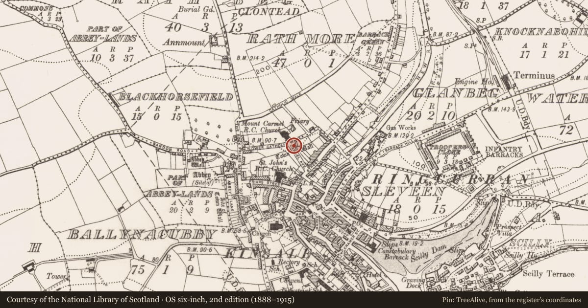 Ordnance Survey six-inch map, 2nd edition (1888–1915) covering the location of Architectural fragment, Townplots, County Cork, with a pin at the register's coordinates