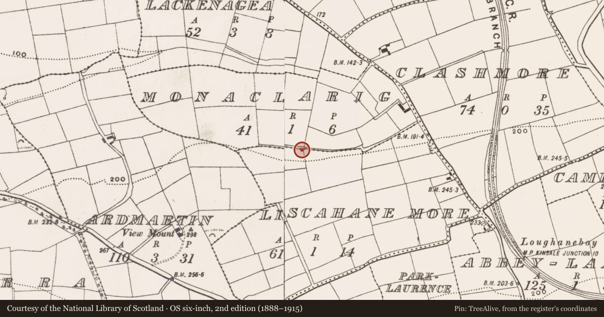 Ordnance Survey six-inch map, 2nd edition (1888–1915) covering the location of Military camp, County Cork, with a pin at the register's coordinates