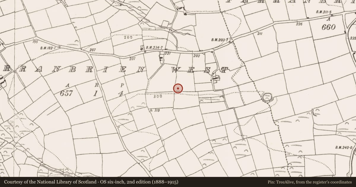 Ordnance Survey six-inch map, 2nd edition (1888–1915) covering the location of Ringfort - rath, Farranbrien West, County Cork, with a pin at the register's coordinates