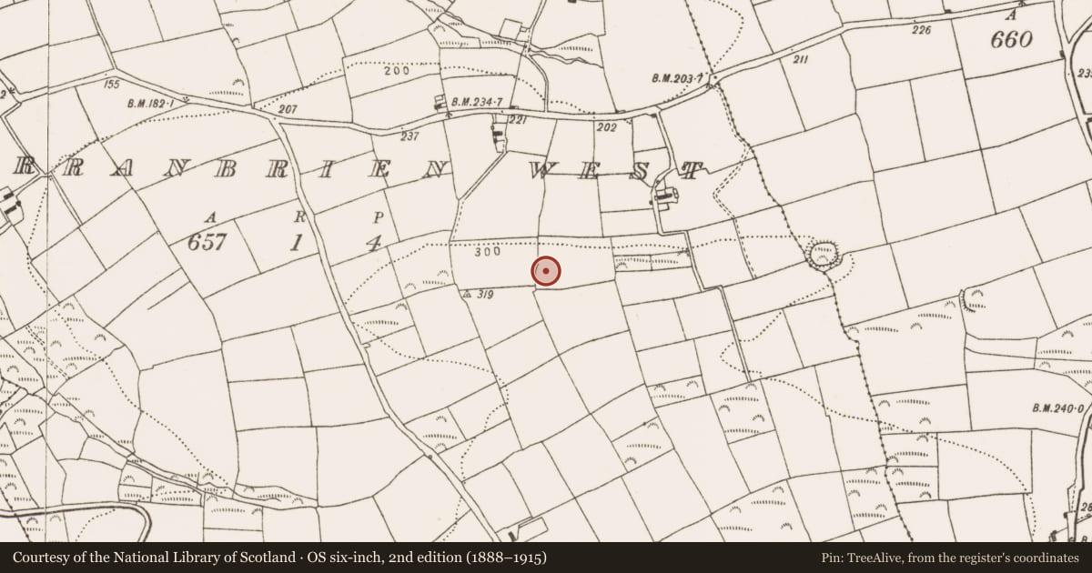 Ordnance Survey six-inch map, 2nd edition (1888–1915) covering the location of Ringfort - rath, Farranbrien West, County Cork, with a pin at the register's coordinates