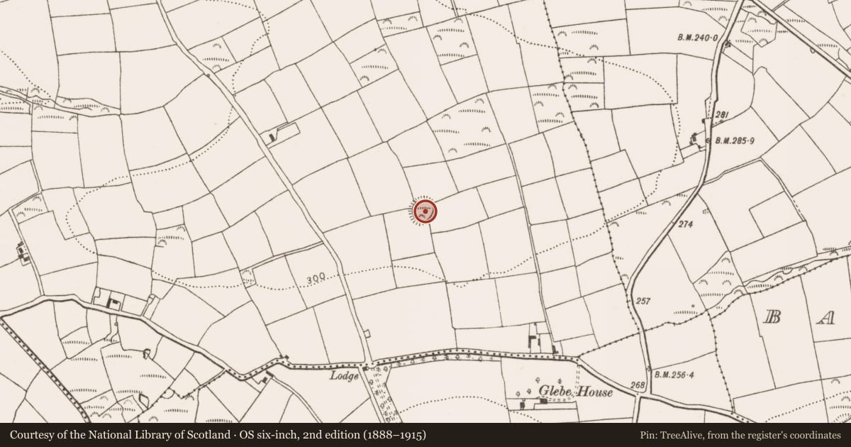 Ordnance Survey six-inch map, 2nd edition (1888–1915) covering the location of Ringfort - rath, Farranbrien West, County Cork, with a pin at the register's coordinates