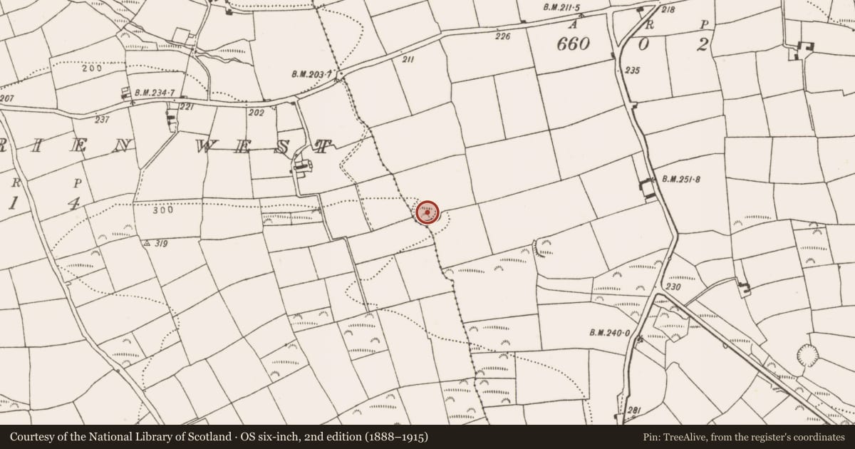 Ordnance Survey six-inch map, 2nd edition (1888–1915) covering the location of Ringfort - rath, Farranbrien East, County Cork, with a pin at the register's coordinates