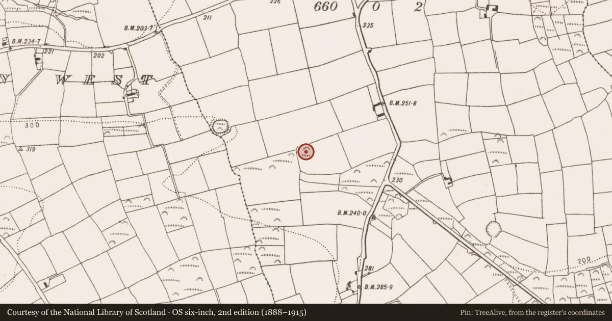 Ordnance Survey six-inch map, 2nd edition (1888–1915) covering the location of Ringfort - rath, Farranbrien East, County Cork, with a pin at the register's coordinates