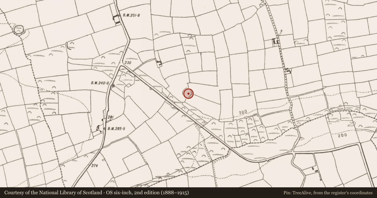 Ordnance Survey six-inch map, 2nd edition (1888–1915) covering the location of Ringfort - rath, Farranbrien East, County Cork, with a pin at the register's coordinates