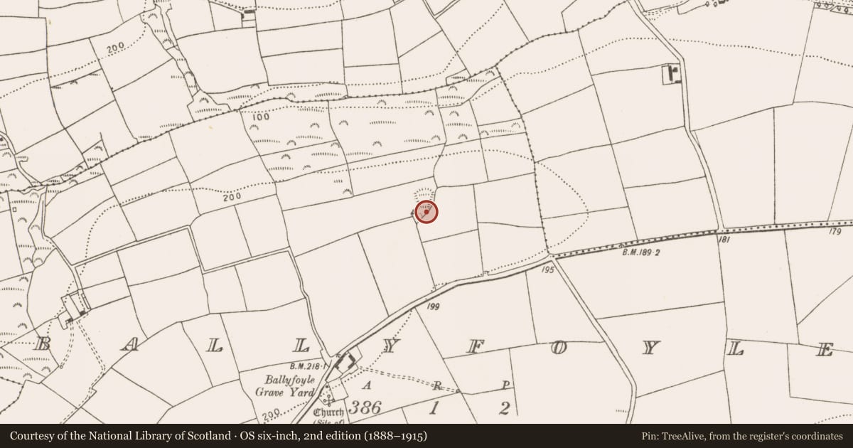 Ordnance Survey six-inch map, 2nd edition (1888–1915) covering the location of Ringfort - rath, Ballyfoyle, County Cork, with a pin at the register's coordinates