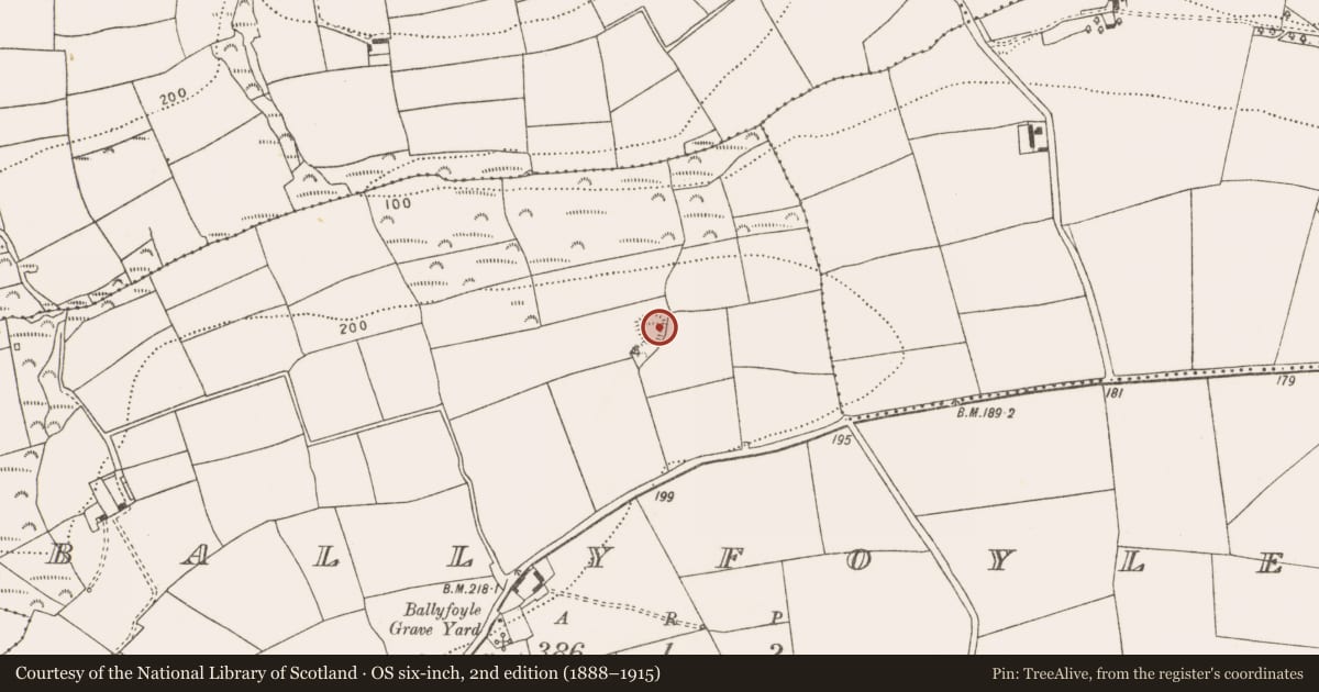 Ordnance Survey six-inch map, 2nd edition (1888–1915) covering the location of Enclosure, Ballyfoyle, County Cork, with a pin at the register's coordinates