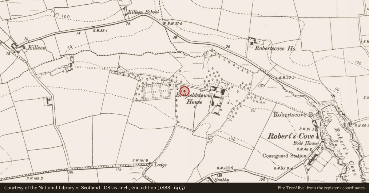 Ordnance Survey six-inch map, 2nd edition (1888–1915) covering the location of Fulacht fia, Britfieldstown, County Cork, with a pin at the register's coordinates