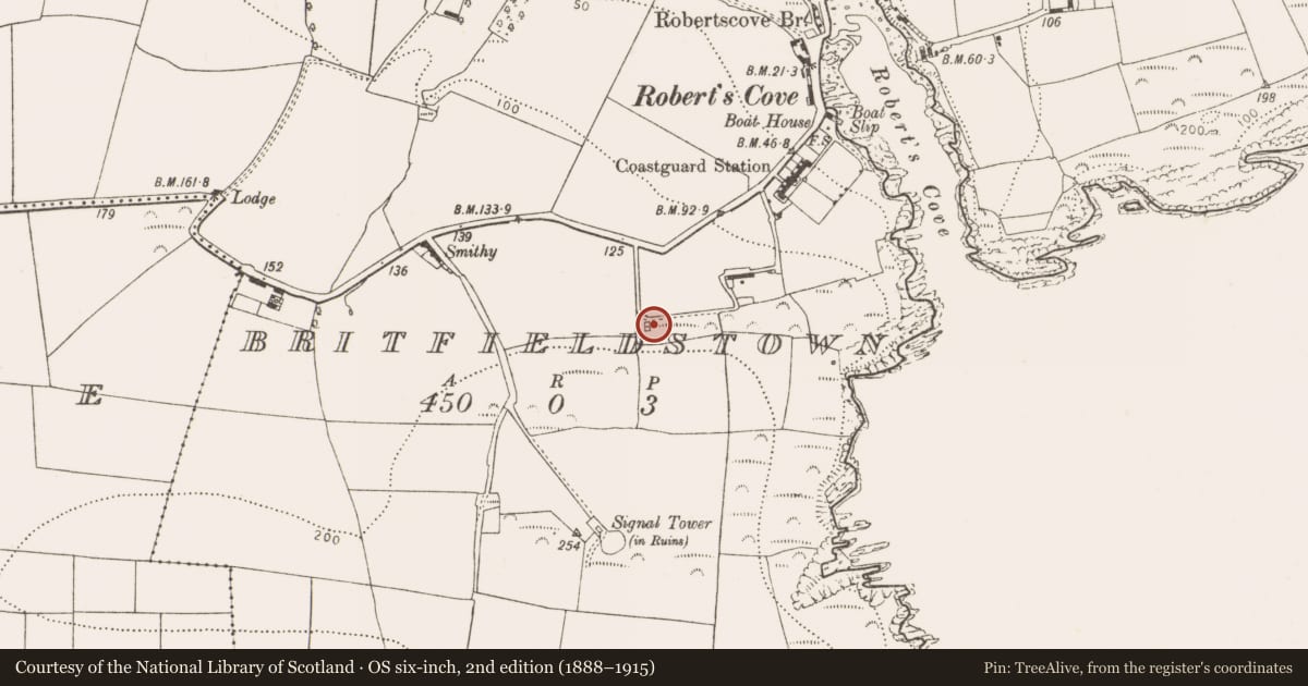 Ordnance Survey six-inch map, 2nd edition (1888–1915) covering the location of Kiln - lime, Britfieldstown, County Cork, with a pin at the register's coordinates