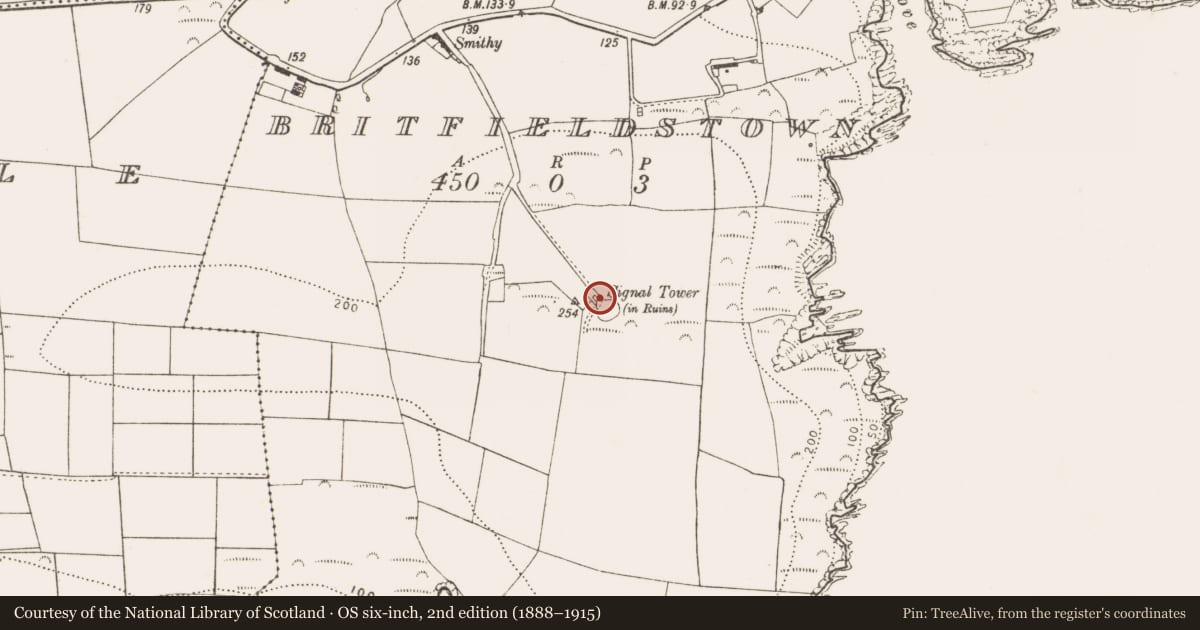 Ordnance Survey six-inch map, 2nd edition (1888–1915) covering the location of Signal tower, Britfieldstown, County Cork, with a pin at the register's coordinates