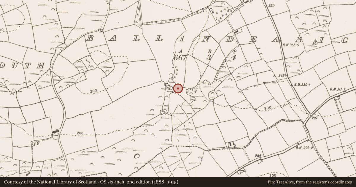 Ordnance Survey six-inch map, 2nd edition (1888–1915) covering the location of Enclosure, Ballindeasig (Kinalea By., Nohaval Par.), County Cork, with a pin at the register's coordinates