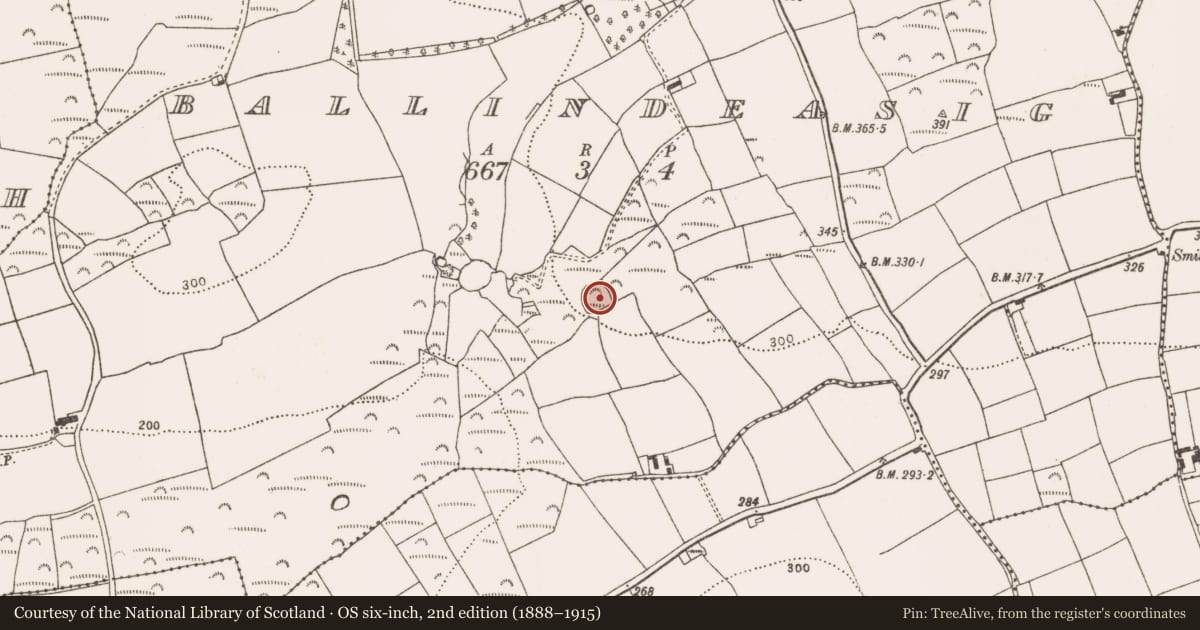 Ordnance Survey six-inch map, 2nd edition (1888–1915) covering the location of Enclosure, Ballindeasig (Kinalea By., Nohaval Par.), County Cork, with a pin at the register's coordinates