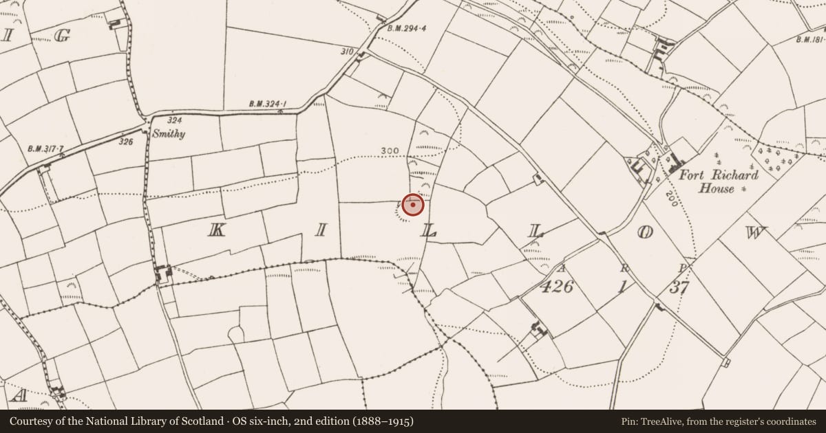 Ordnance Survey six-inch map, 2nd edition (1888–1915) covering the location of Ringfort - rath, Killowen, County Cork, with a pin at the register's coordinates
