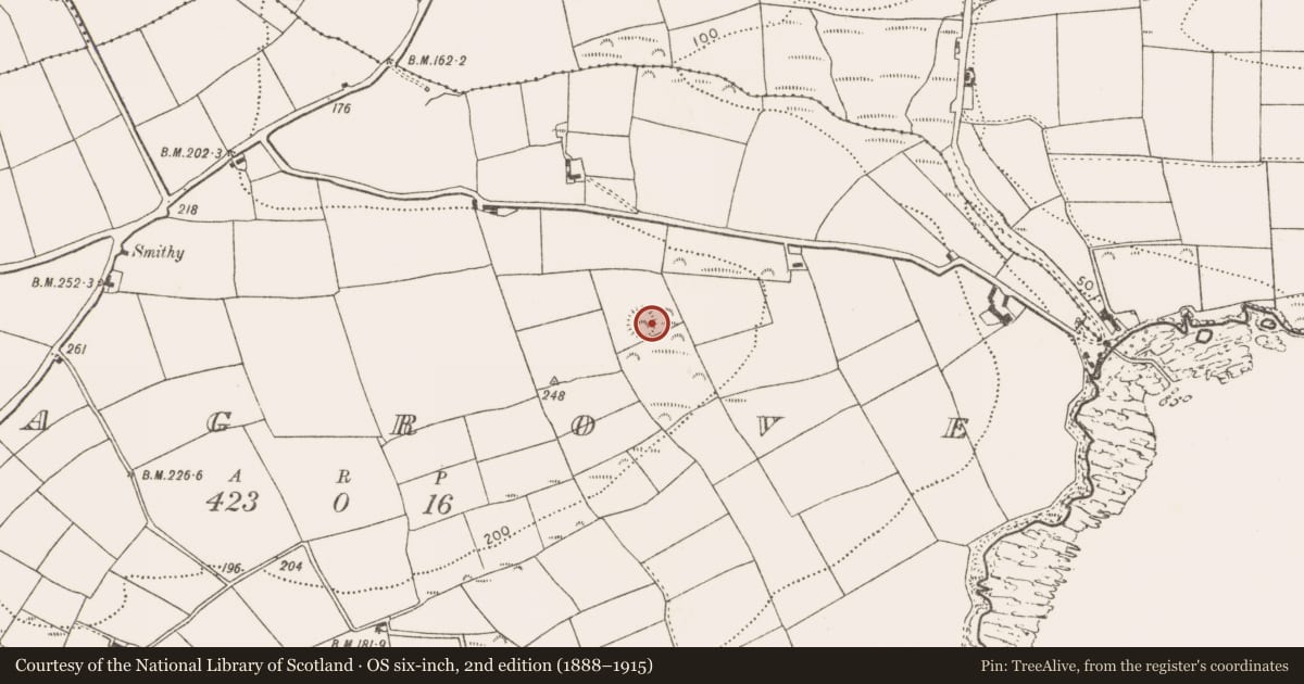 Ordnance Survey six-inch map, 2nd edition (1888–1915) covering the location of Ringfort - rath, Reagrove, County Cork, with a pin at the register's coordinates