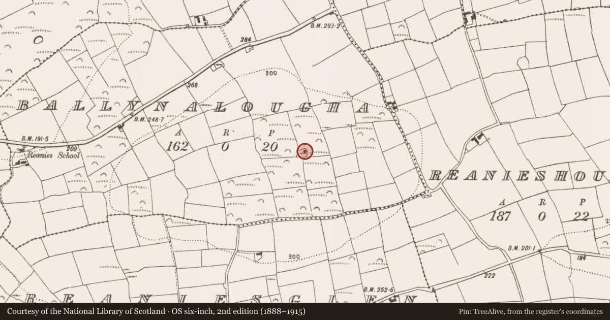 Ordnance Survey six-inch map, 2nd edition (1888–1915) covering the location of Enclosure, Ballynalougha, County Cork, with a pin at the register's coordinates